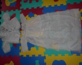 DSCN0972